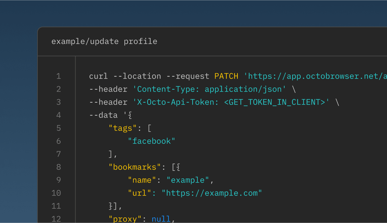Octo Browser API接口文档截图